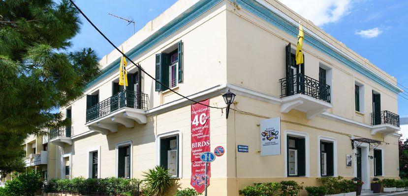 Ελληνικό Ωδείο - Νηπιαγωγείο Birds -Πειραιάς|||